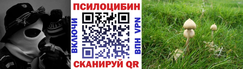 Псилоцибиновые грибы GOLDEN TEACHER  OMG ТОР  Хасавюрт 
